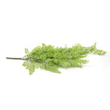 Artificial Light Green Maidenhair Fern 31" UV Resistant from Designer Plants USA