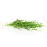 Artificial Long Weeping Willow Grass Bush 37" UV Resistant from Designer Plants USA