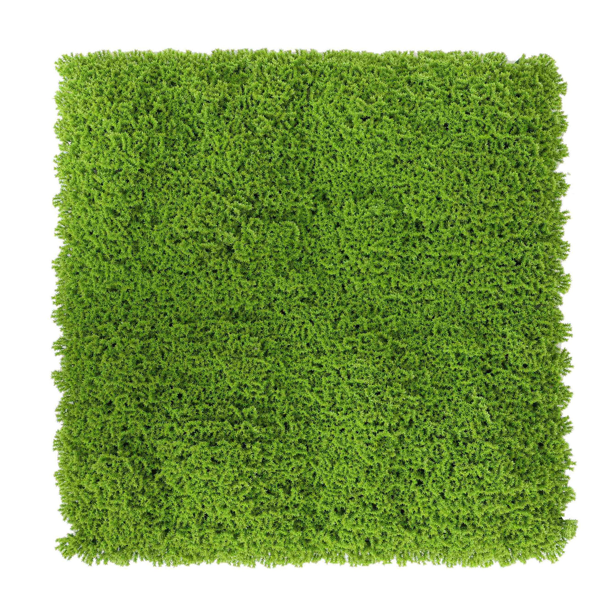 Faux Evergreen Moss Mat 33 SQ FT UV Resistant Commercial Grade UV Resistant from Designer Plants USA