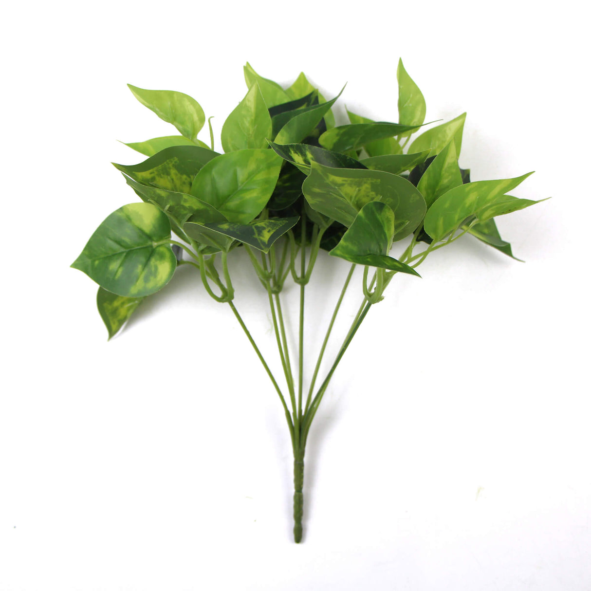 Artificial Pothos / Devil's Ivy Bush 9.5" from Designer Plants USA