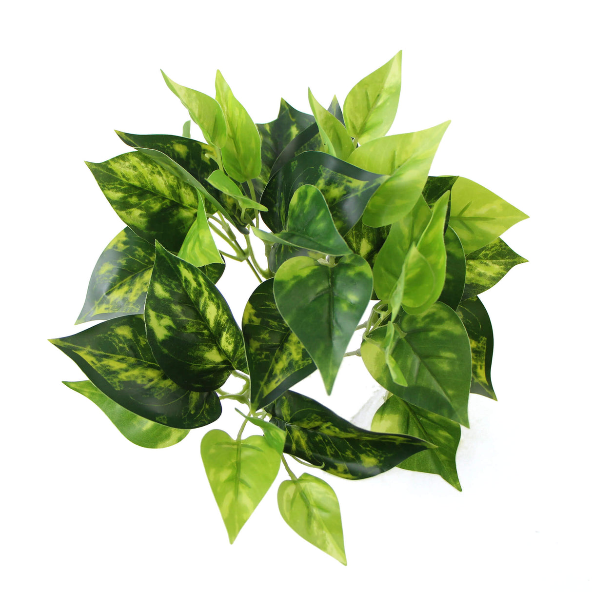 Artificial Pothos / Devil's Ivy Bush 9.5" from Designer Plants USA