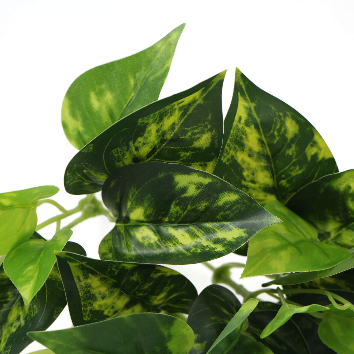 Artificial Pothos / Devil's Ivy Bush 9.5" from Designer Plants USA