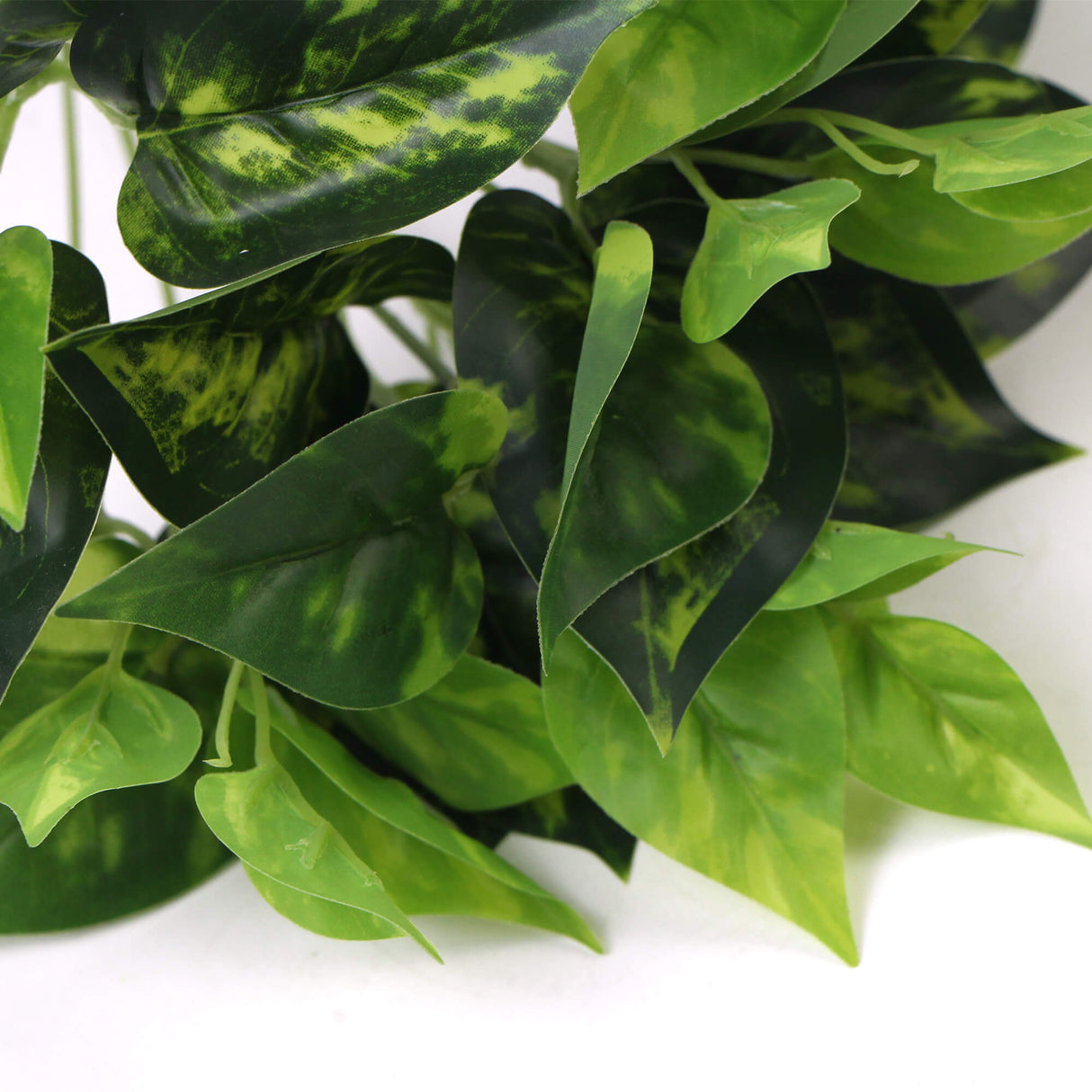 Artificial Pothos / Devil's Ivy Bush 9.5" from Designer Plants USA