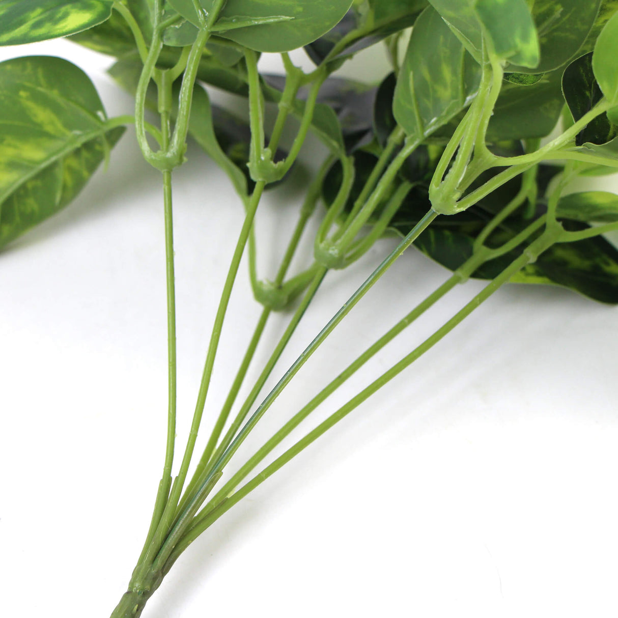 Artificial Pothos / Devil's Ivy Bush 9.5" from Designer Plants USA