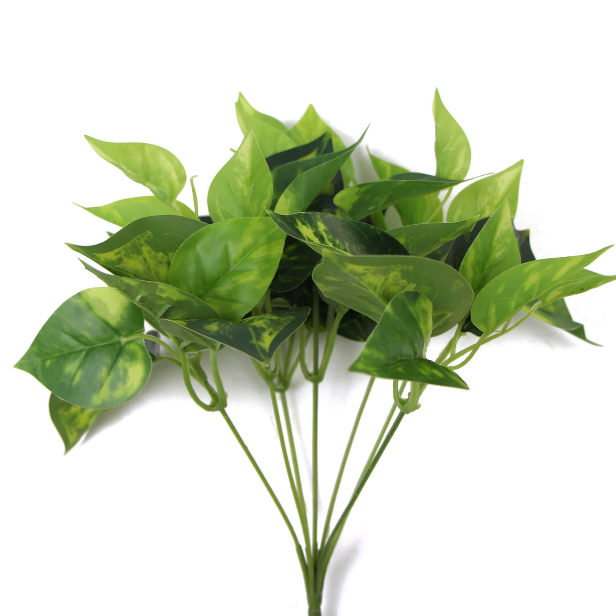 Artificial Pothos / Devil's Ivy Bush 9.5" from Designer Plants USA