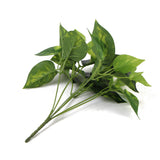 Artificial Pothos / Devil's Ivy Bush 9.5" from Designer Plants USA