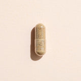 Ashwagandha Herbal Supplement - 120 Capsules from Plant Therapy