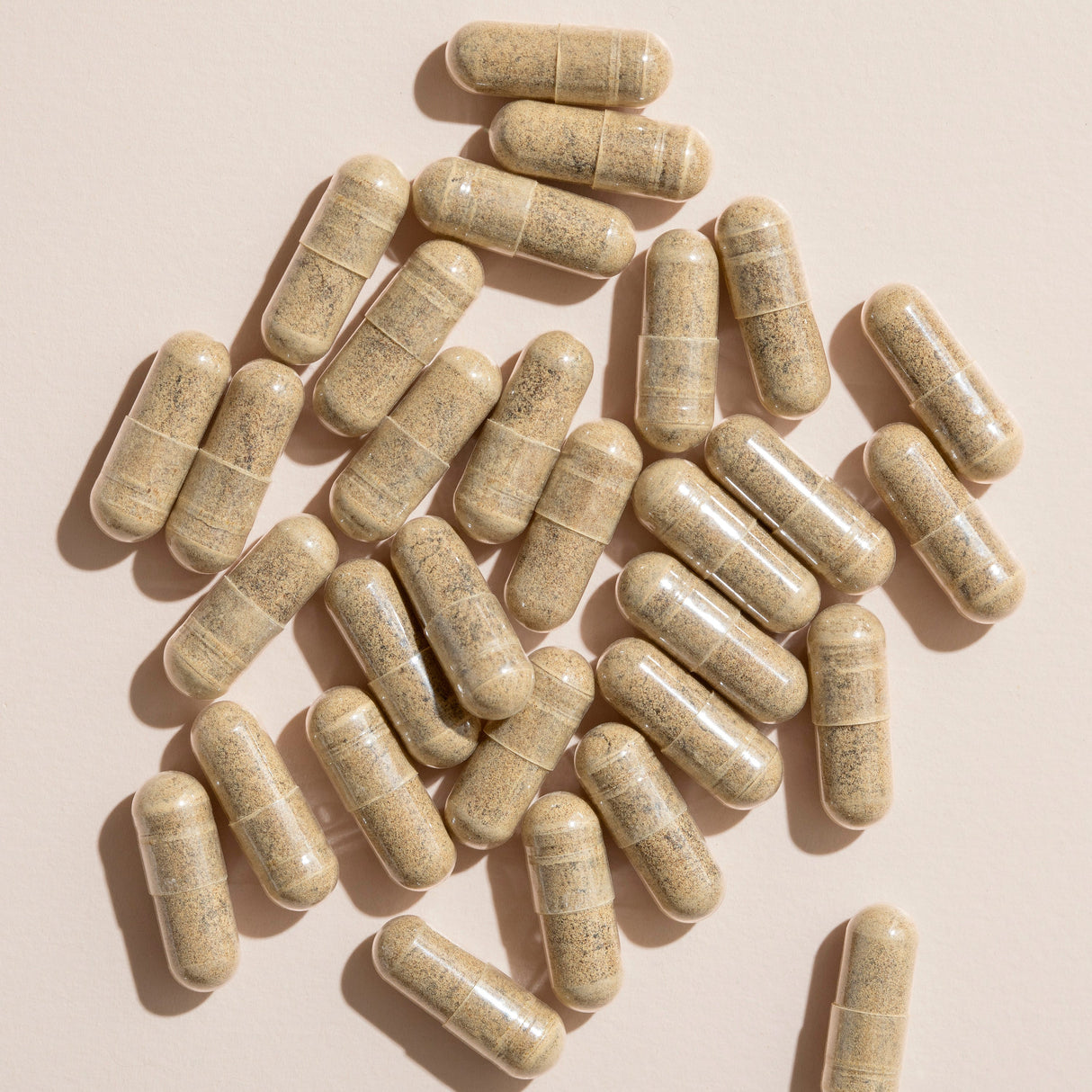 Ashwagandha Herbal Supplement - 120 Capsules from Plant Therapy