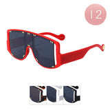 12Pcs Visor Style Wayfarer Sunglasses from Madeline Love