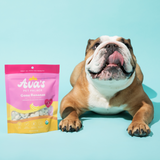 Organic Baked Dog Treats - Gone Bananas from Ava's Pet Palace