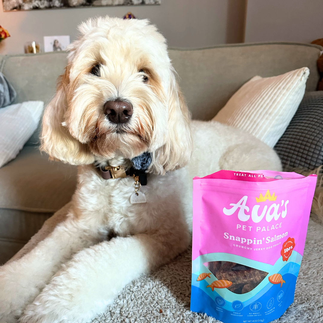 Crunchy Jerky Dog Treats - Snappin' Salmon from Ava's Pet Palace