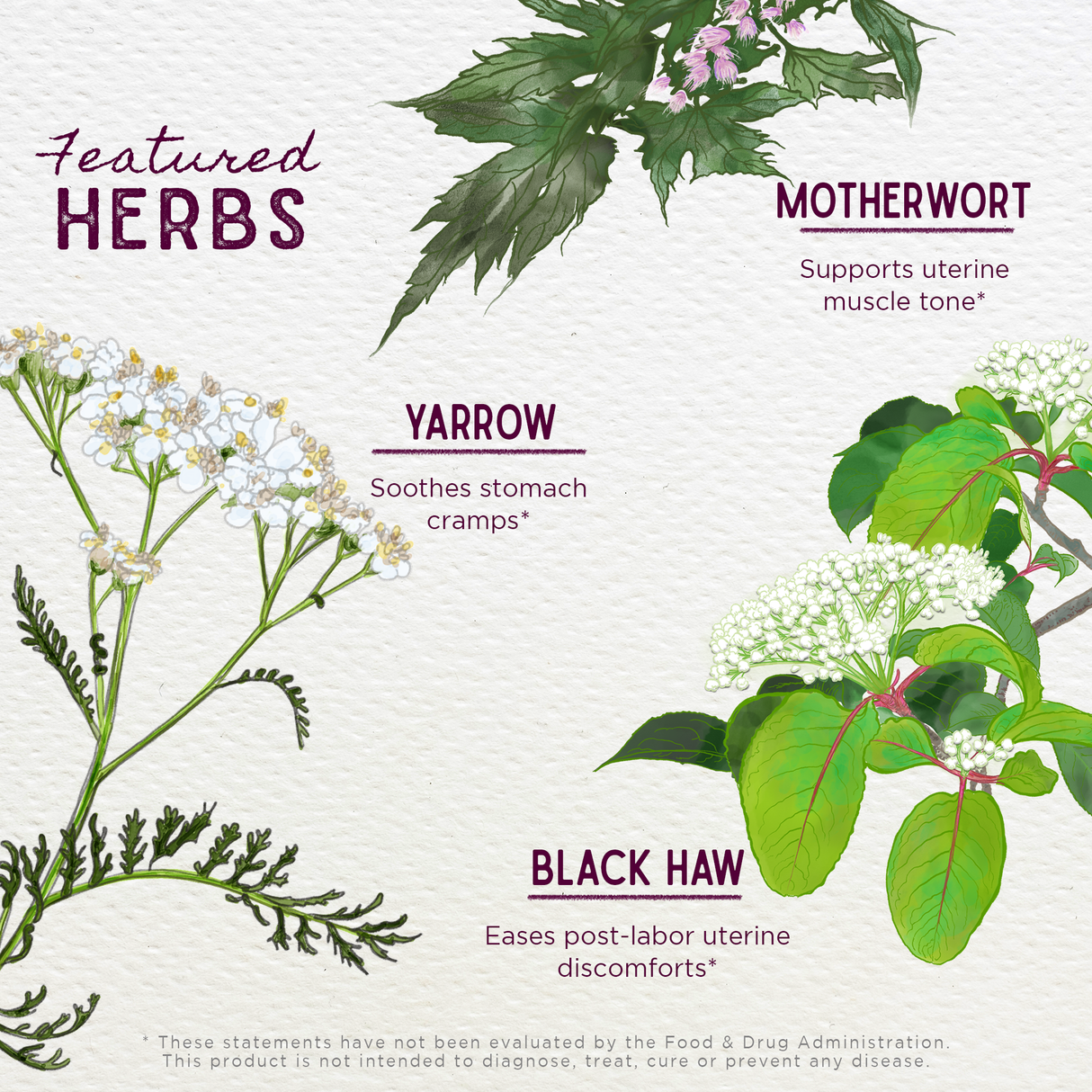 AfterEase For After Birth Contractions From WishGarden Herbs
