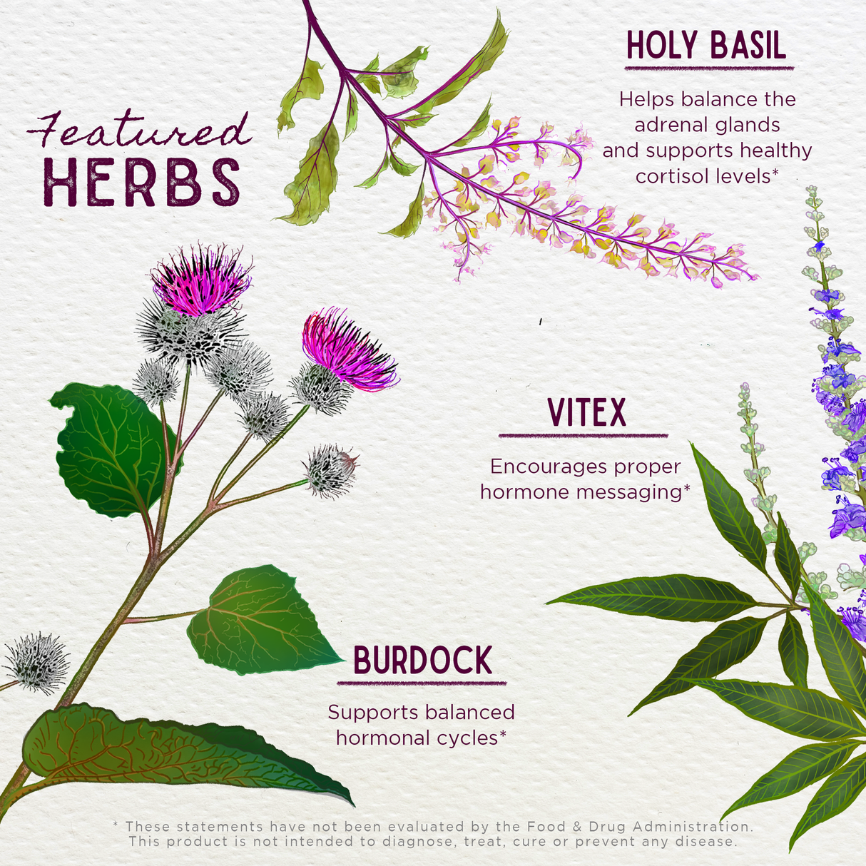 Hot Flash Tamer Daily Regulator From WishGarden Herbs