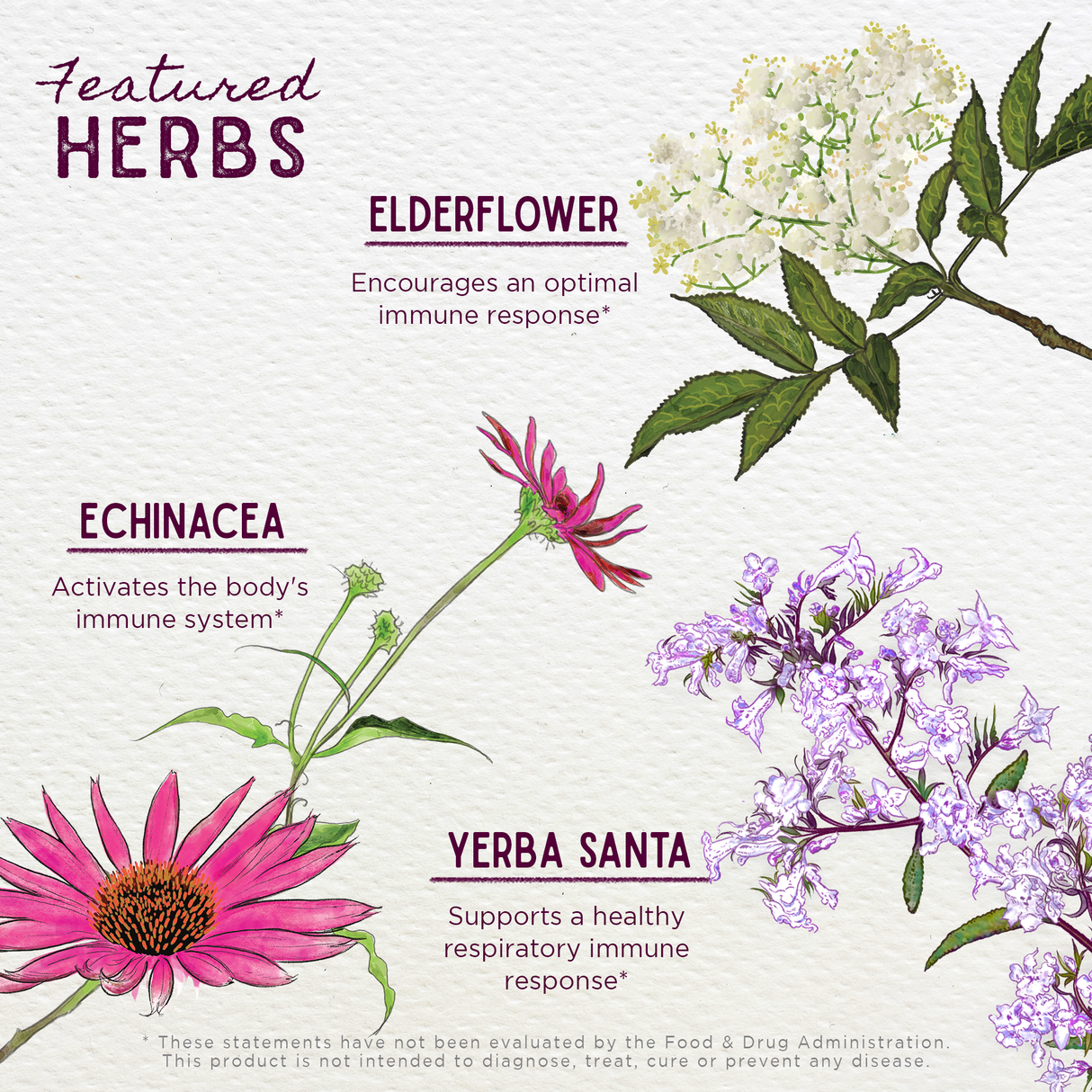 Kick-Ass Immune Activator from WishGarden Herbs