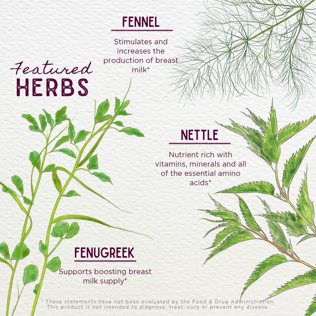 Milk Rich Supply Booster from WishGarden Herbs