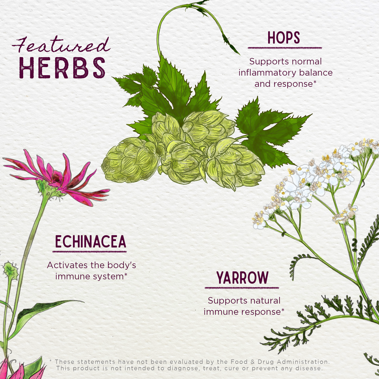 Happy Ducts Free the Flow From WishGarden Herbs