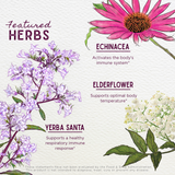 Congestion Rescue Immune Support for Pregnancy From WishGarden Herbs