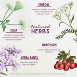 Deep Lung & Bronchial Support From WishGarden Herbs