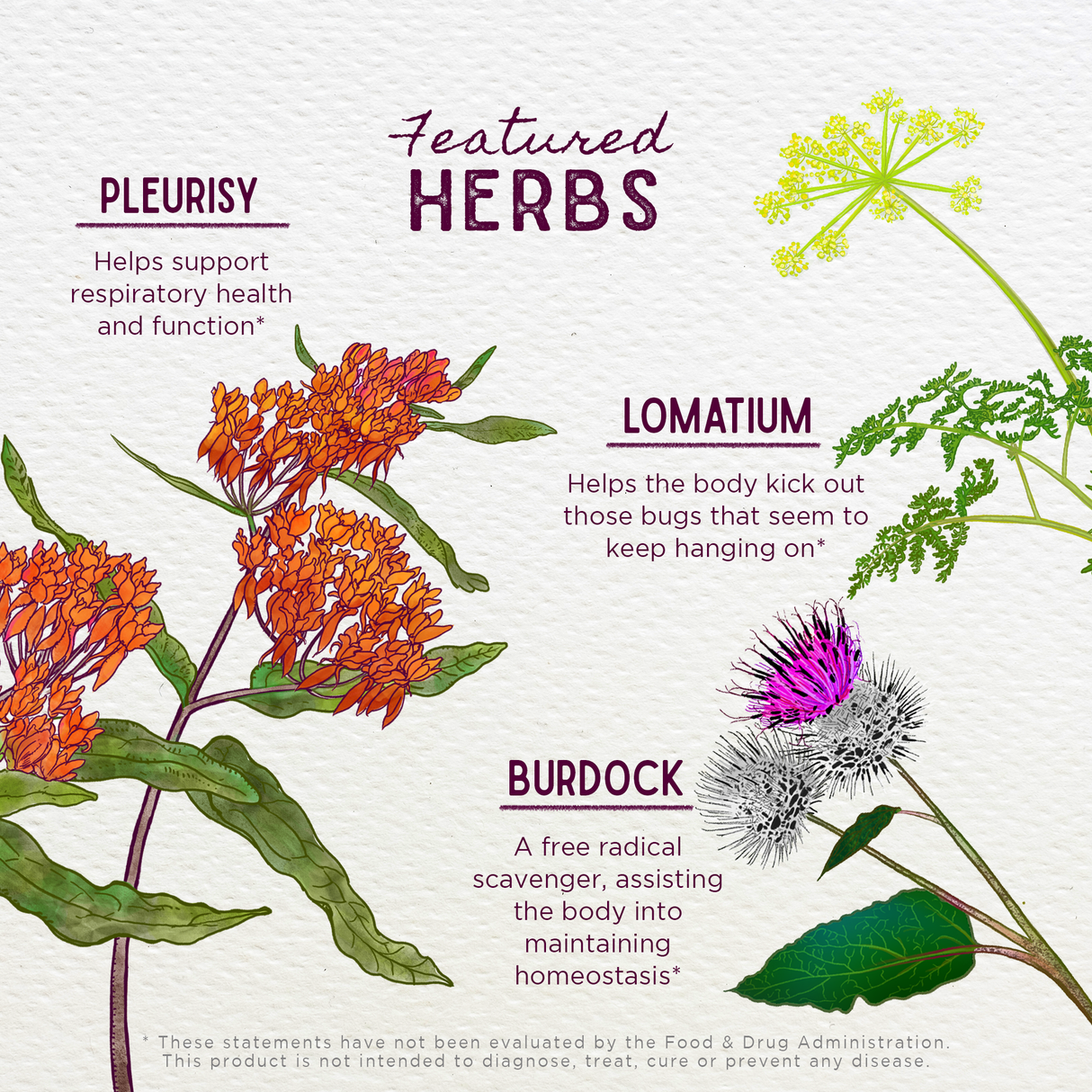 Get Over It! Immune Recovery From WishGarden Herbs
