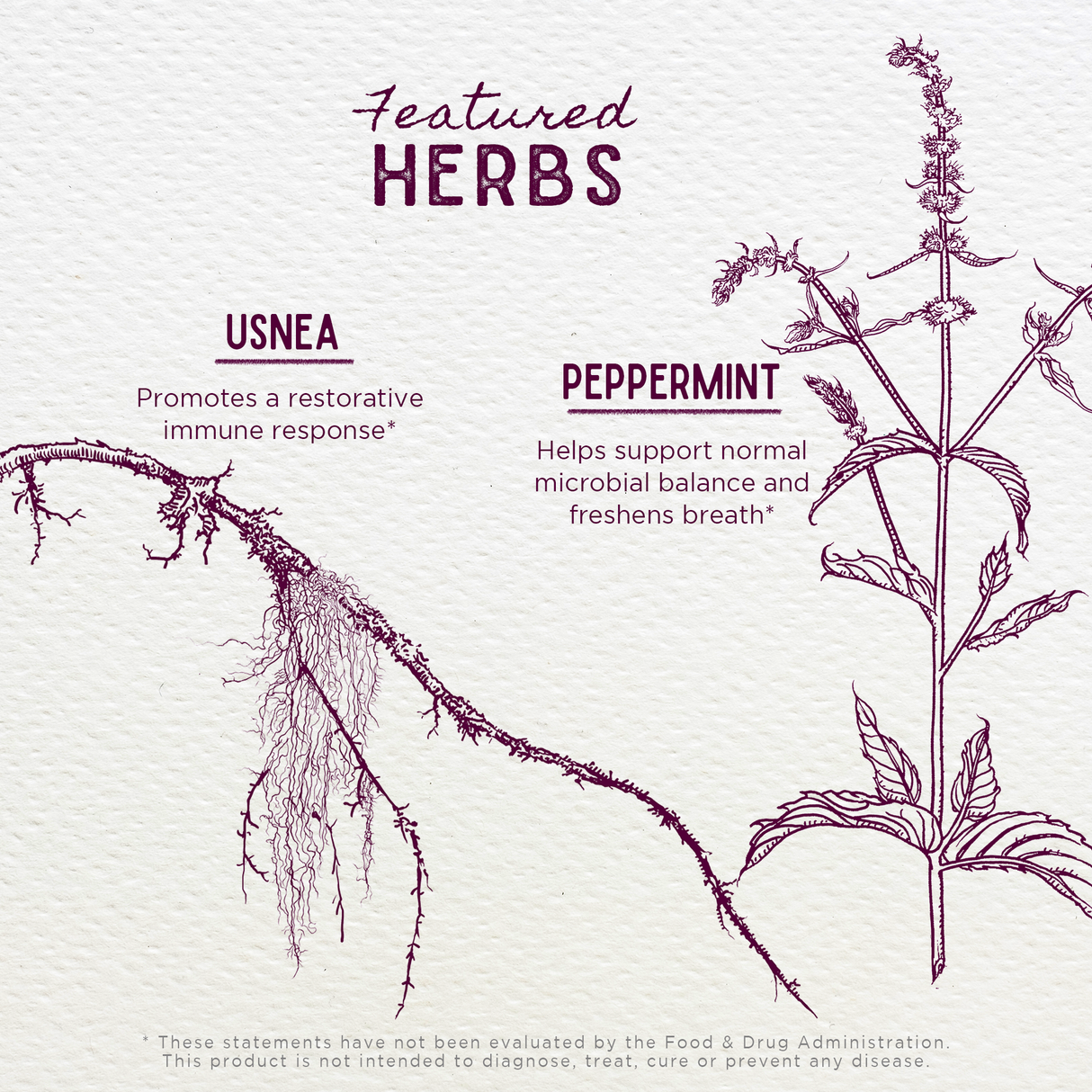 Gum Strength Oral Health Aid From WishGarden Herbs