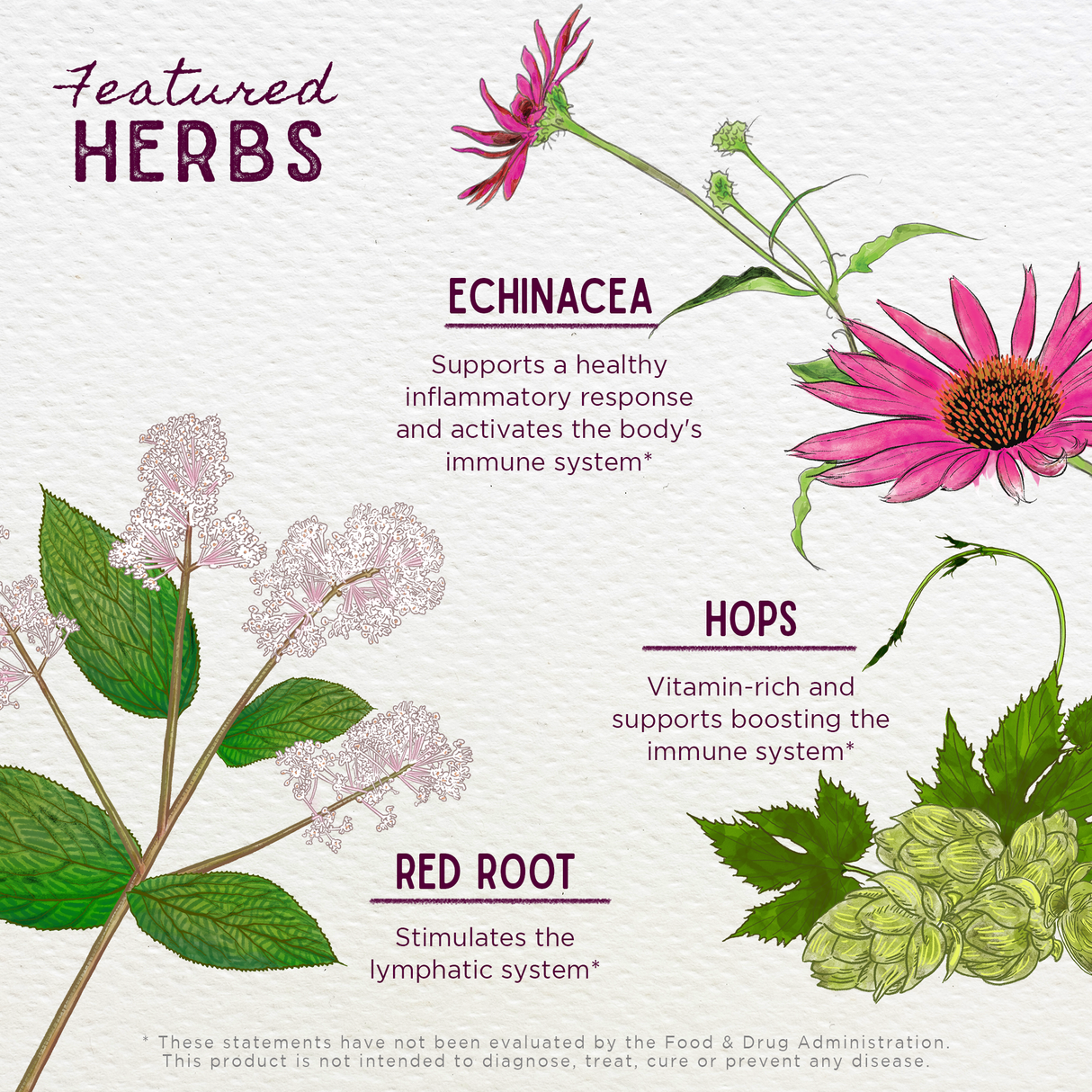 Kick-Ass Biotic Immune Force from WishGarden Herbs