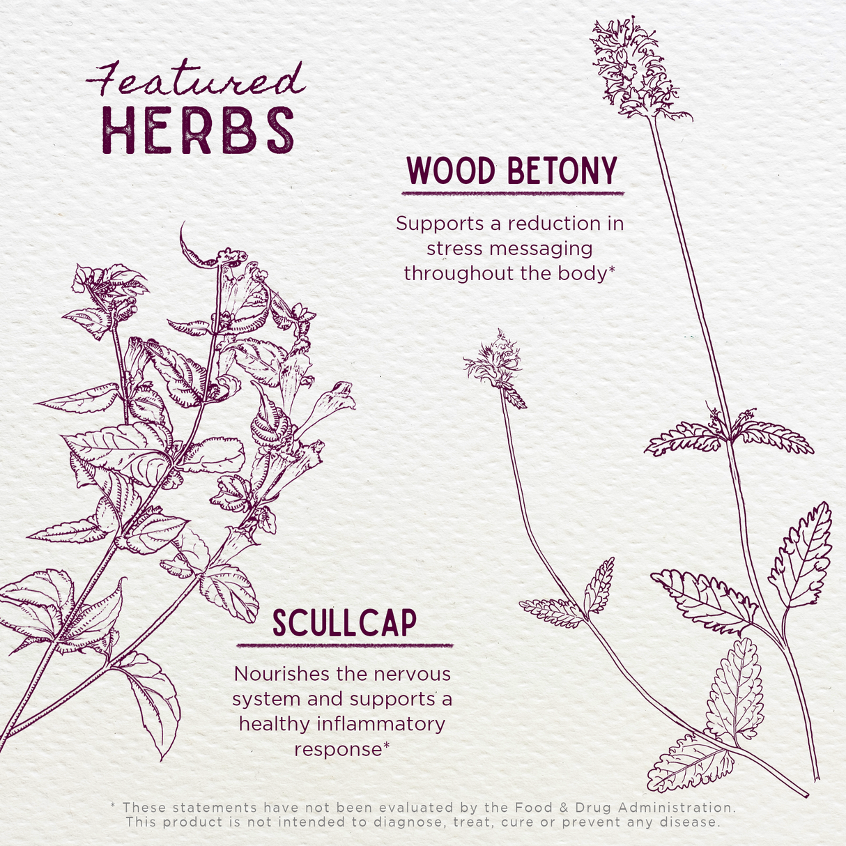Serious Relaxer & Muscle Tension from WishGarden Herbs