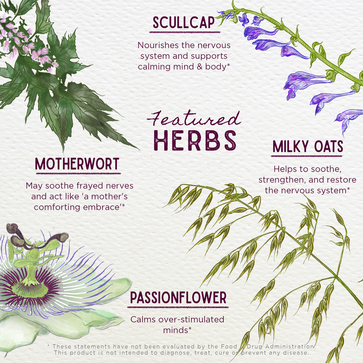 Emotional Ally: A Big Herbal Hug From WishGarden Herbs