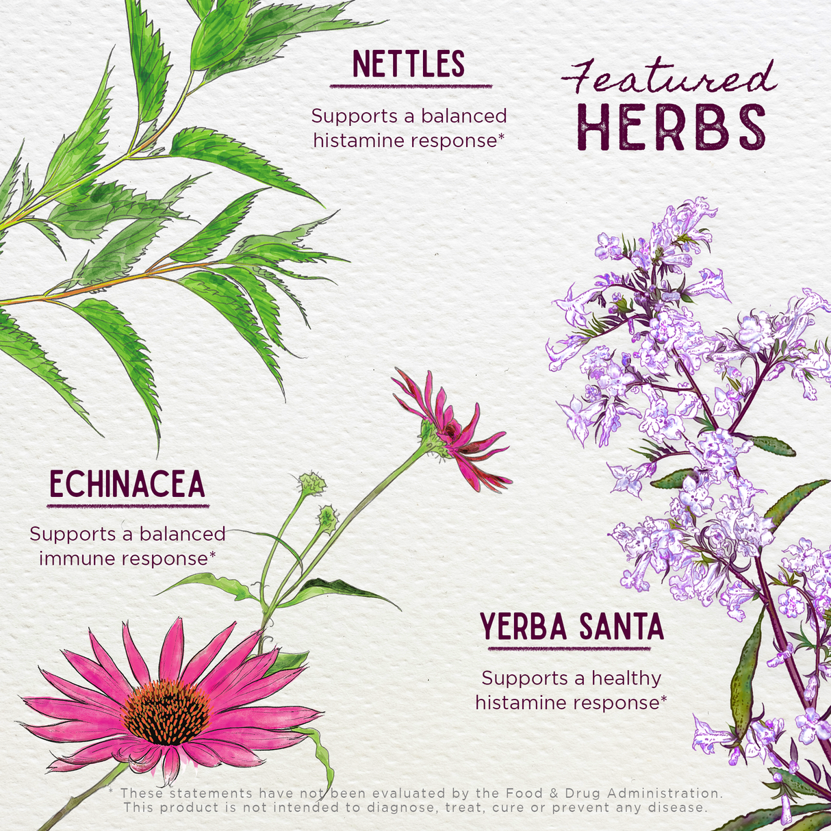 Kick-It Allergy Seasonal Rescue For Kids from WishGarden Herbs