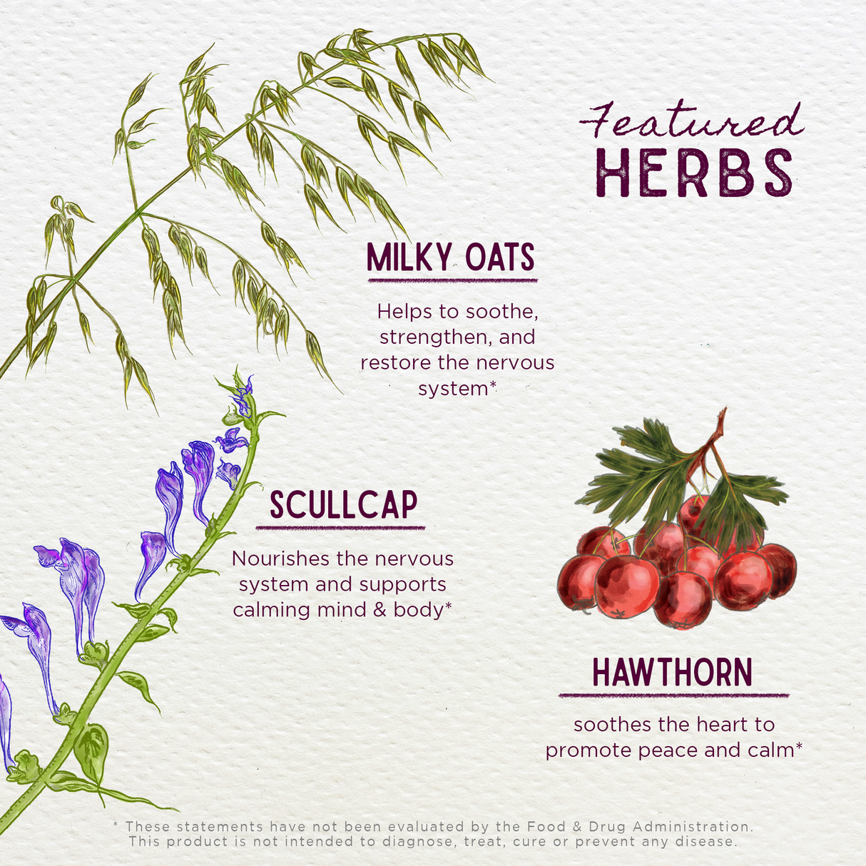 Sleepy Nights & Fresh Mornings For Kids from WishGarden Herbs