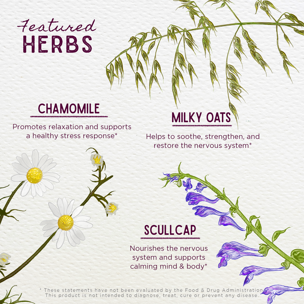 Sleepy Nights & Fresh Mornings for Pregnancy from WishGarden Herbs