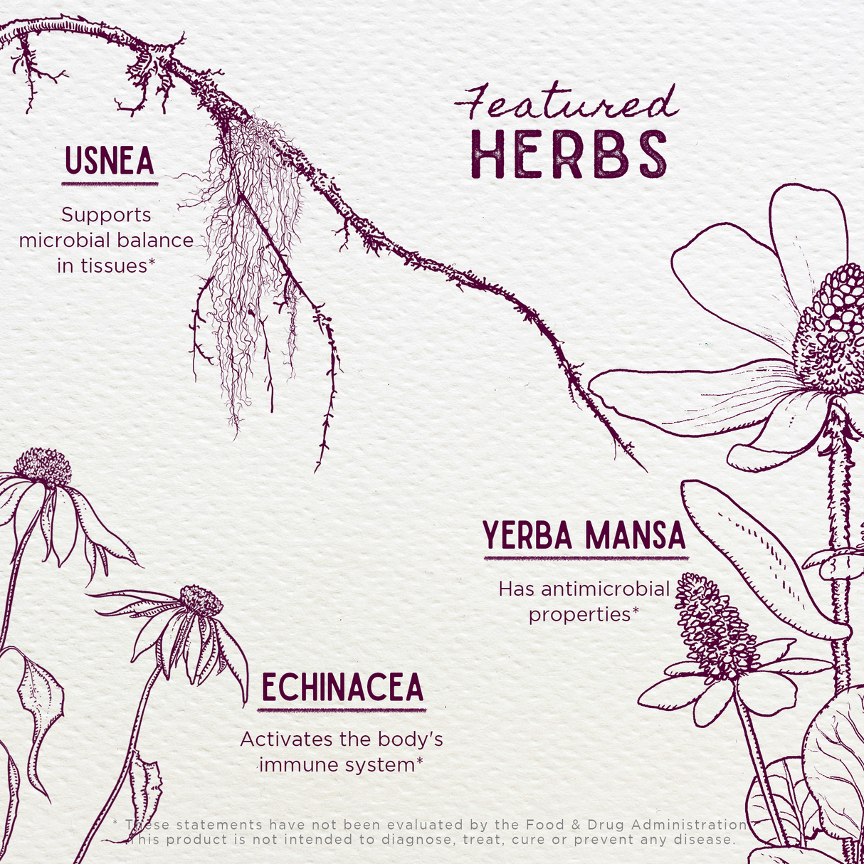 Candida Rescue Microbiome Stabilizer From WishGarden Herbs