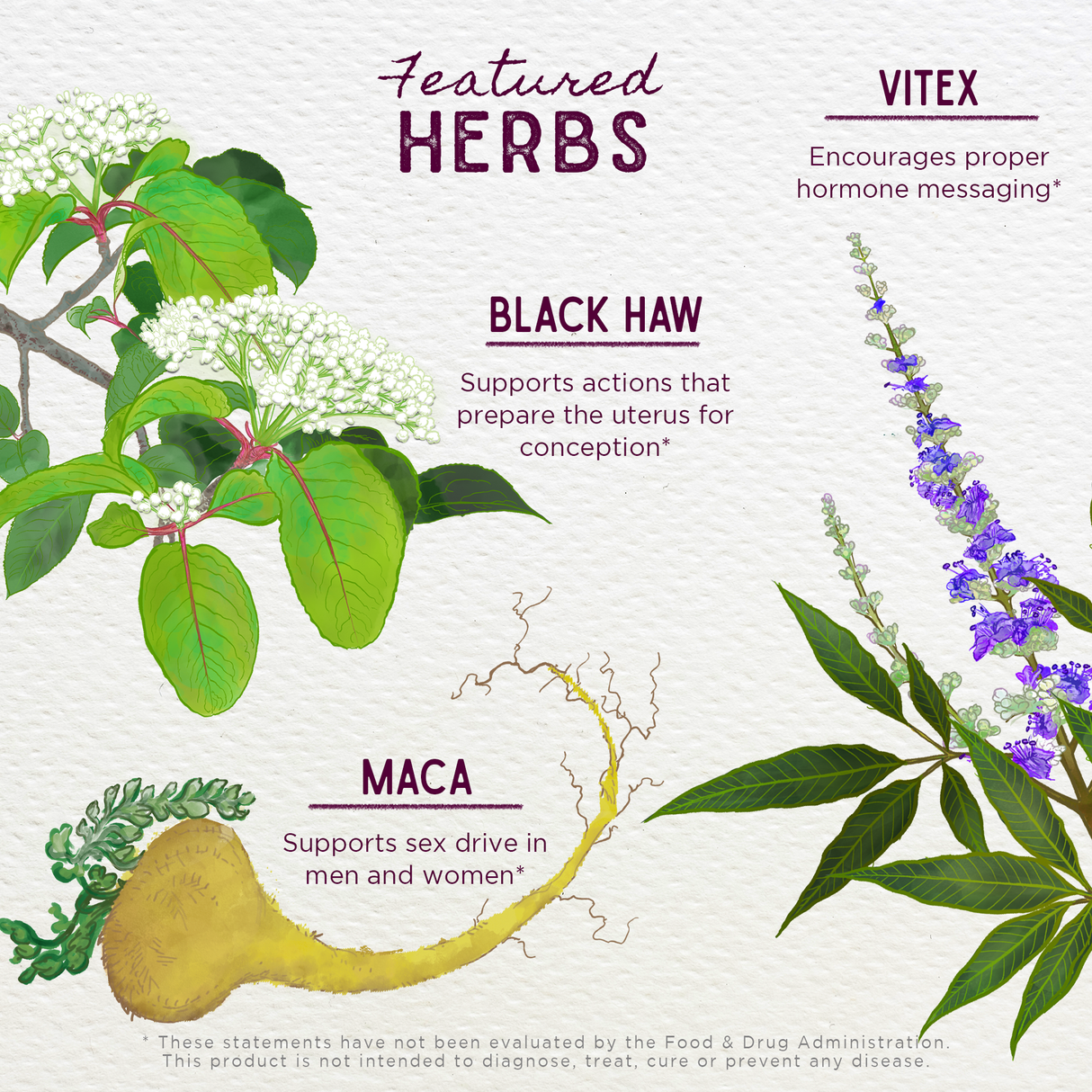Fertility Prep Conception Support From WishGarden Herbs
