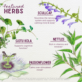Attention Ally Focus Friend for Kids From WishGarden Herbs