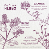 Respiratory Strength Daily Support from WishGarden Herbs