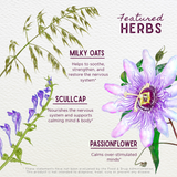Quiet Time Calm & Center For Kids from WishGarden Herbs