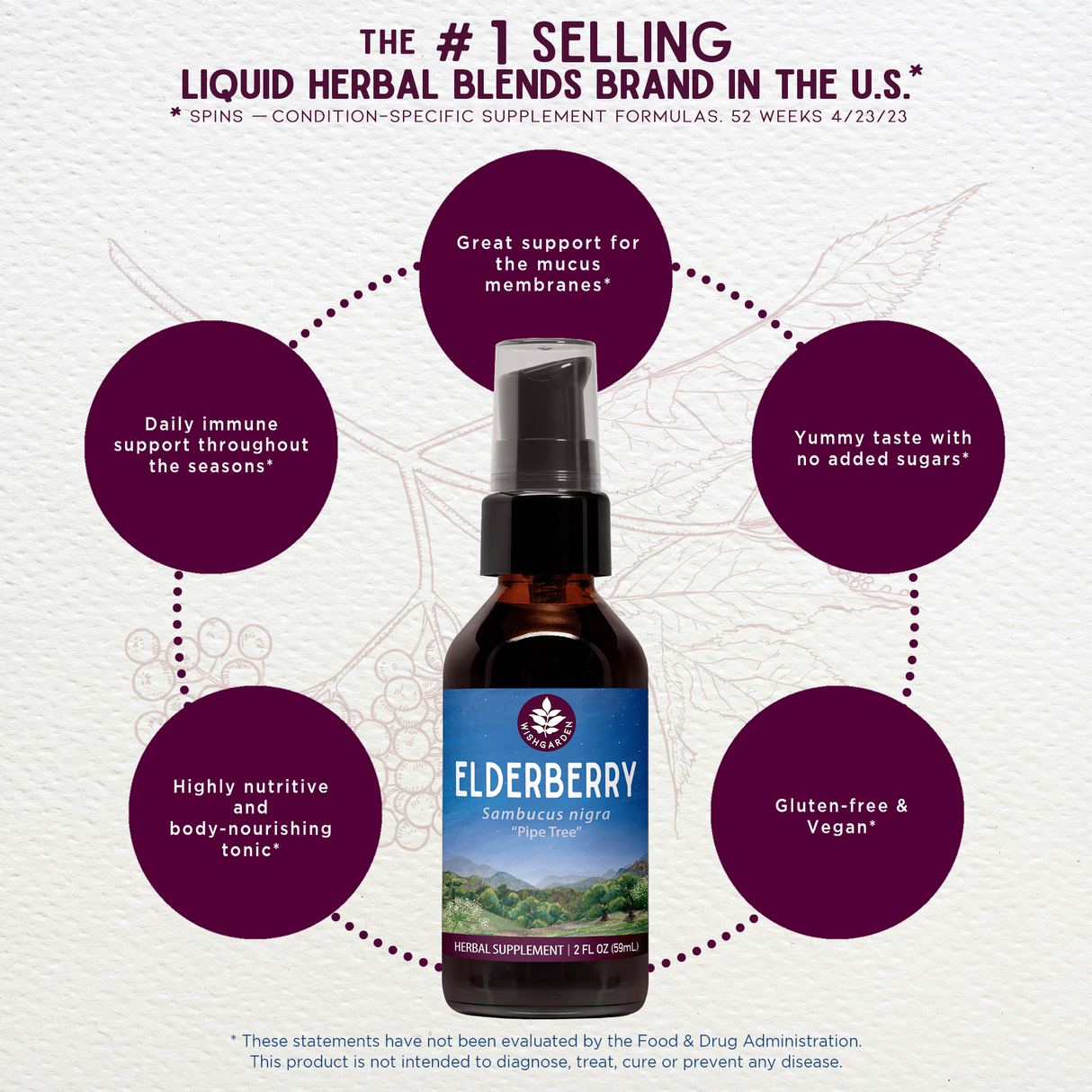 Elderberry from WishGarden Herbs