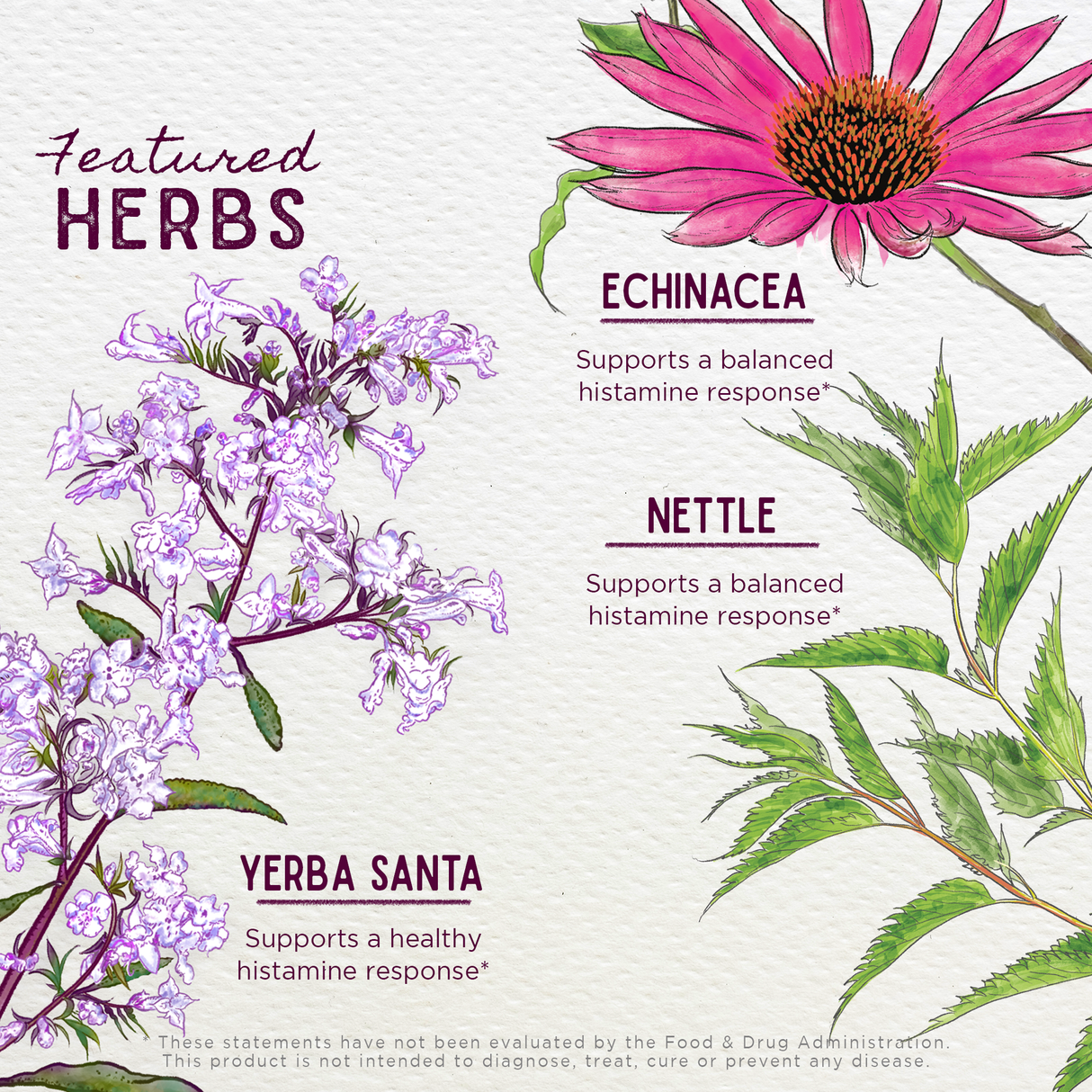 Kick-Ass Allergy Seasonal Rescue For Pregnancy from WishGarden Herbs