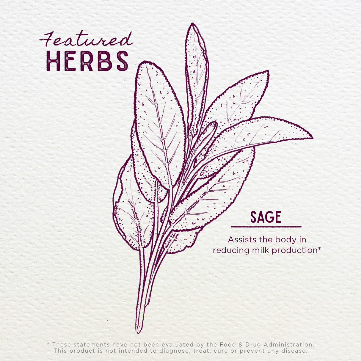Sage Milk Reduction from WishGarden Herbs