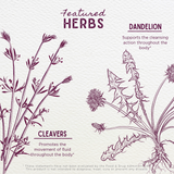 Urinary Strength Active Support from WishGarden Herbs