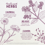 Lymph Mover Immune Strength from WishGarden Herbs