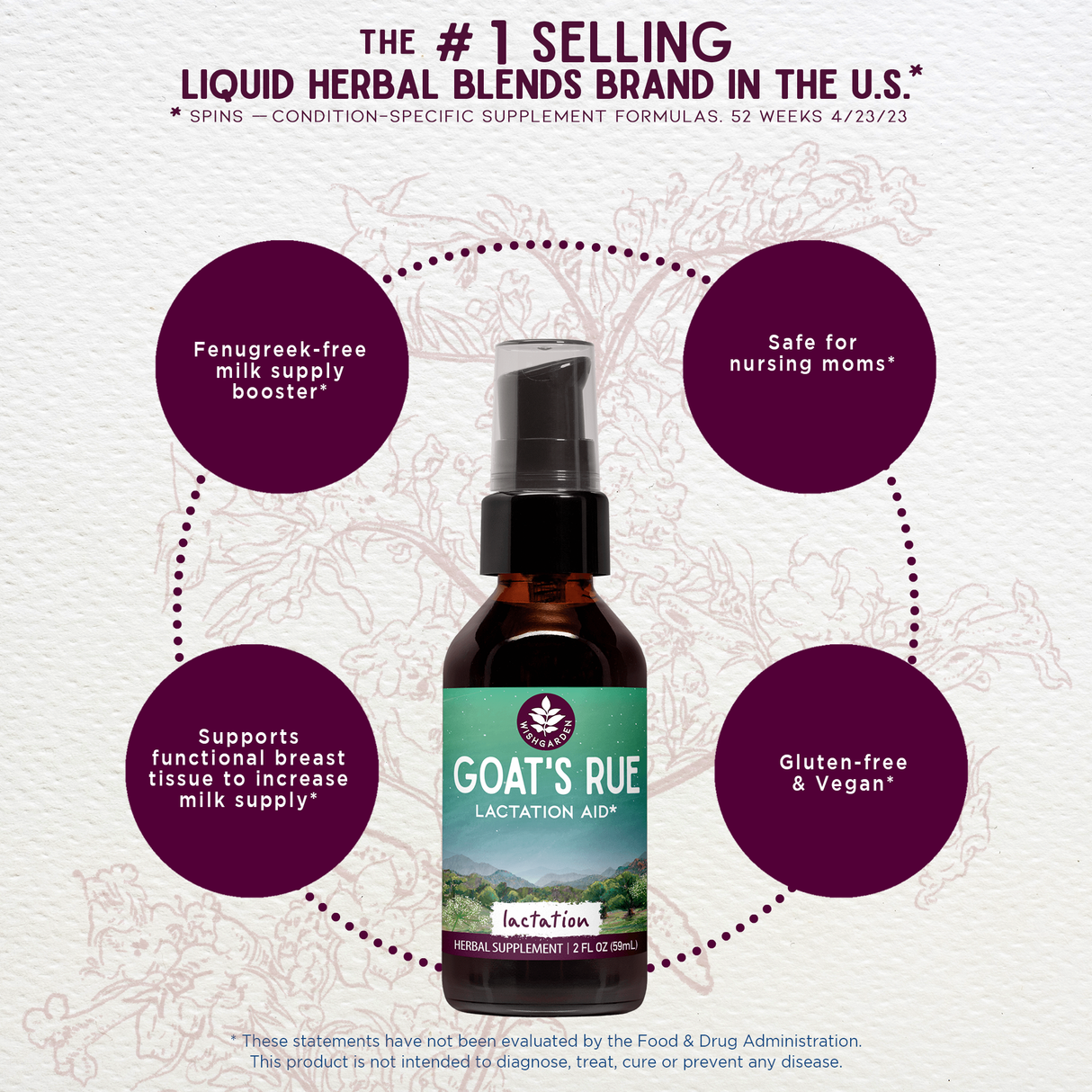 Goat's Rue Lactation Aid From WishGarden Herbs