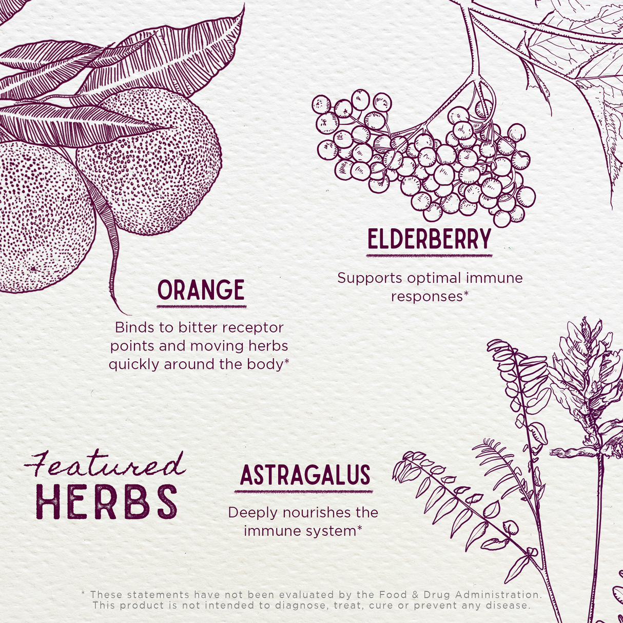 Elderberry Syrup Everyday Immunity for Kids from WishGarden Herbs