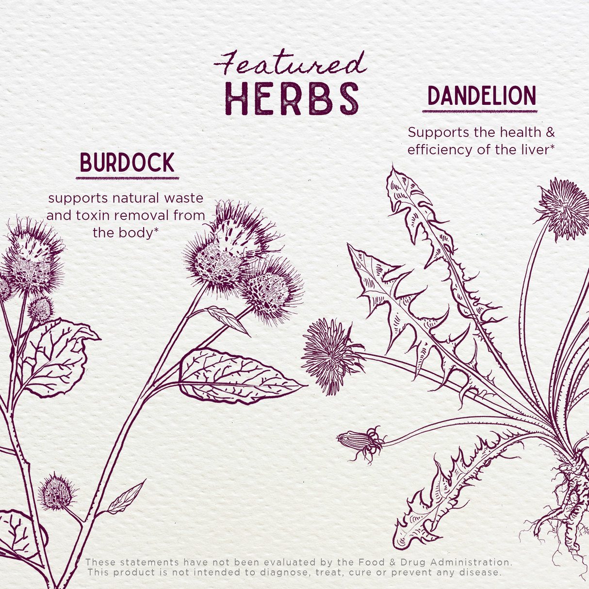 Party Prep: For a Better Morning After from WishGarden Herbs