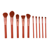 Makeup Brush Set - 10 Piece Makeup Brush Collection from Prolux Cosmetics