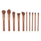 Makeup Brush Set - 10 Piece Makeup Brush Collection from Prolux Cosmetics