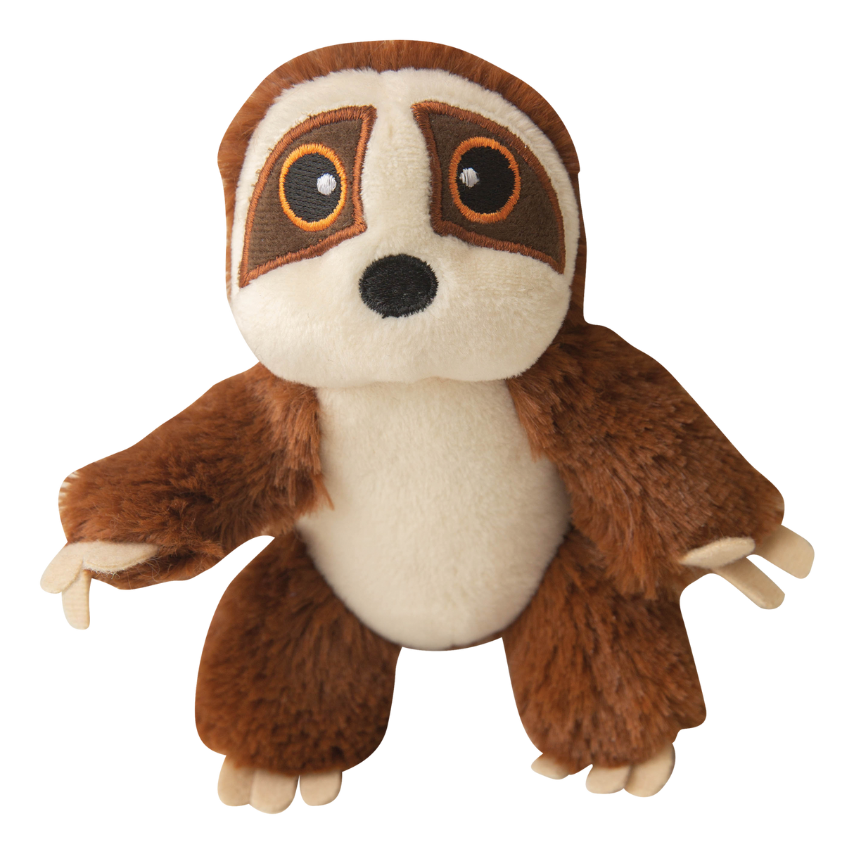 Baby Sasha the Sloth from Health Extension