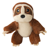 Baby Sasha the Sloth from Health Extension