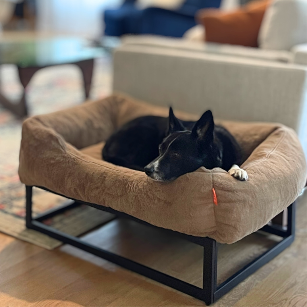 The FÜZI Dog Bed - Faux Fur from FÜZI
