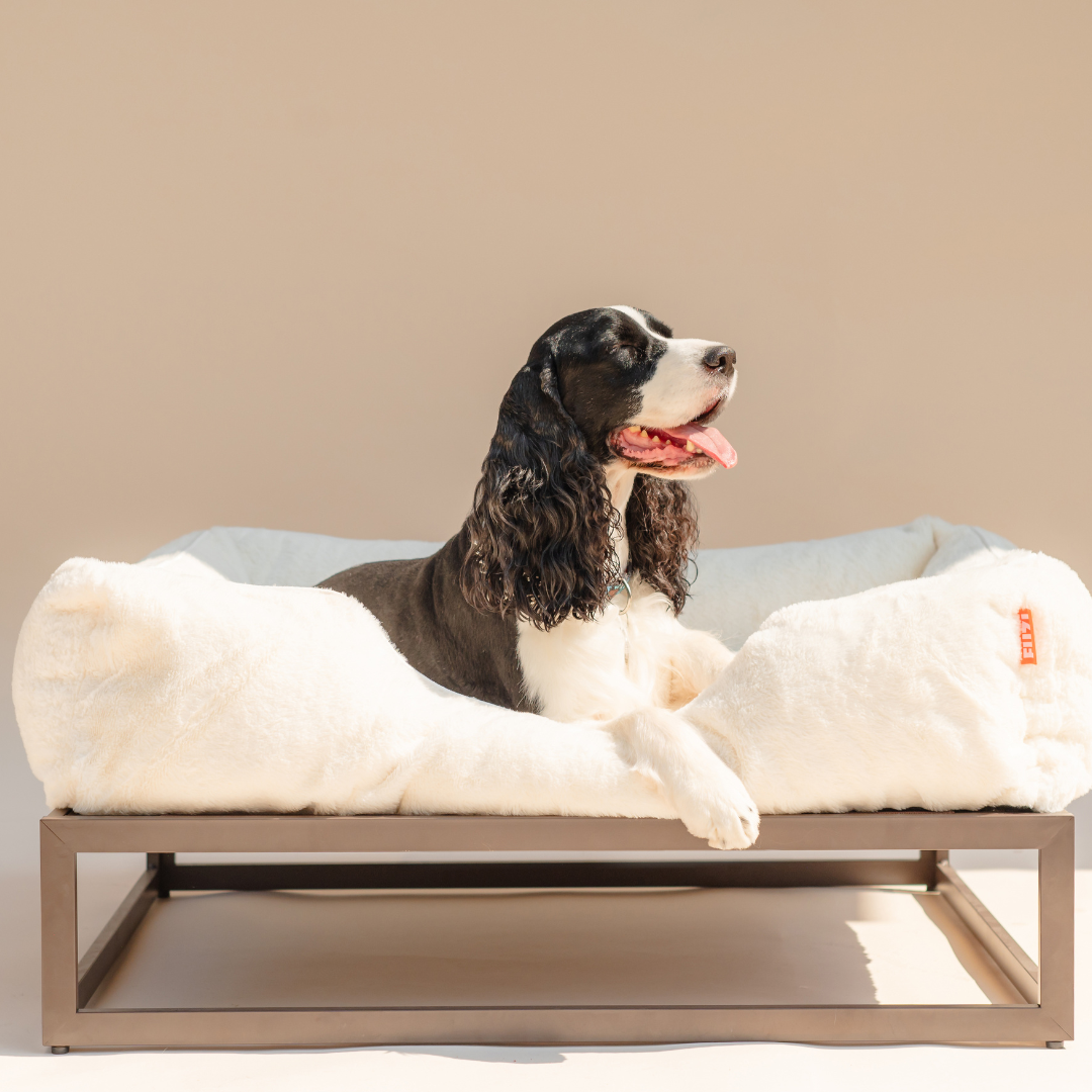 The FÜZI Dog Bed - Faux Fur from FÜZI