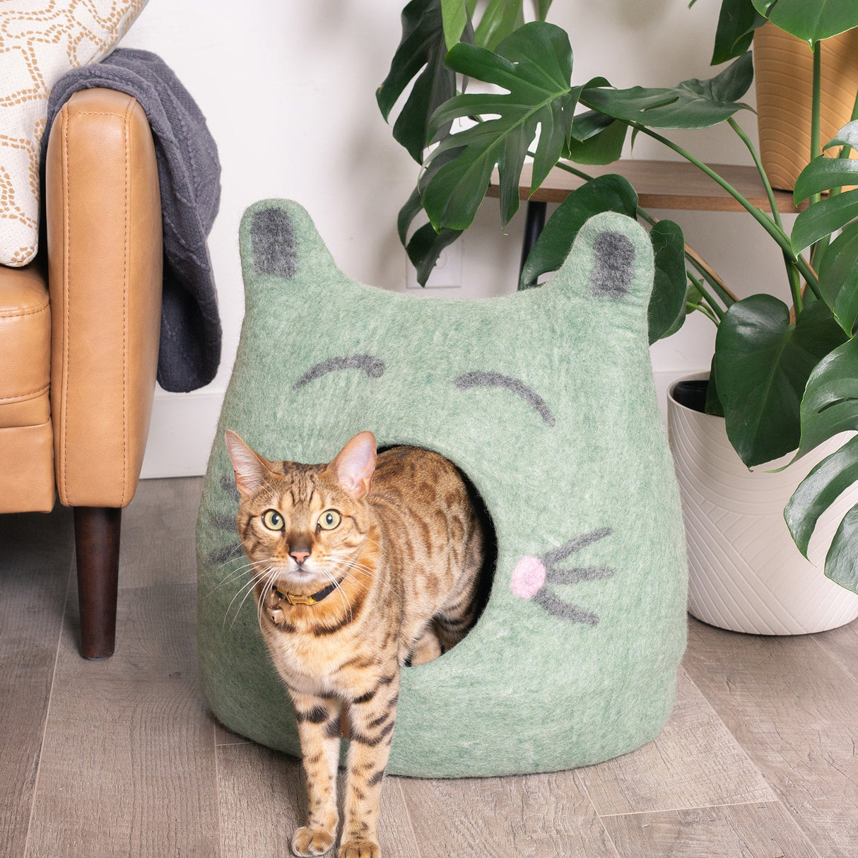 Cat Face Design | Ear Style Cave from Fuzzy Cove